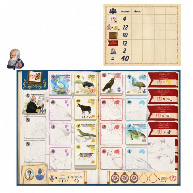 Настільна гра Слідами Дарвіна (In the Footsteps of Darwin)