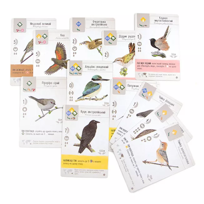 Настільна гра Крила. Птахи Океанії (Wingspan: Oceania Expansion)