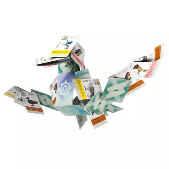 Настільна гра Крила. Птахи Океанії (Wingspan: Oceania Expansion)