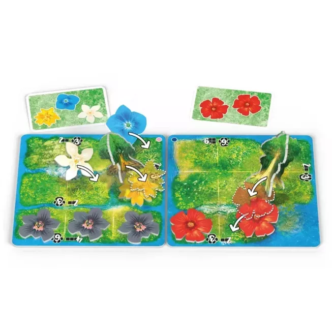 Настільна гра HUTAN: Життя в тропіках (HUTAN: Life in the Rainforest)