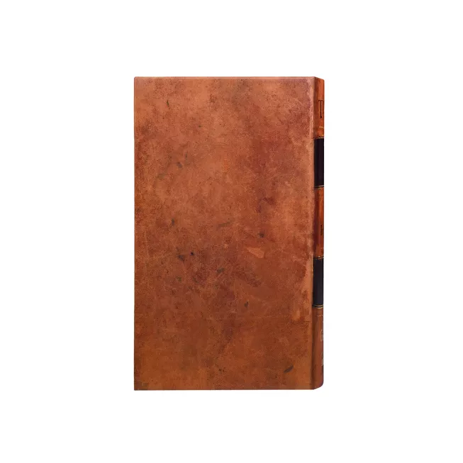 Настільна гра Тортуґа 1667 (Tortuga 1667)