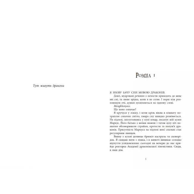 Книга Мова драконів