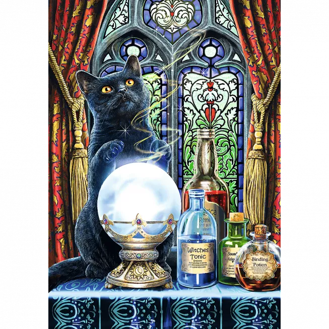 Пазл Чарівна колекція: Учень відьми (1000)