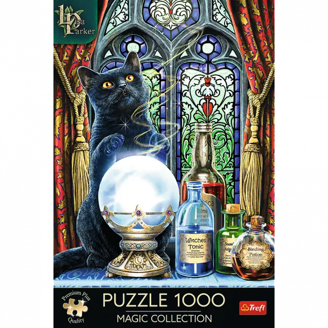 Пазл Чарівна колекція: Учень відьми (1000)