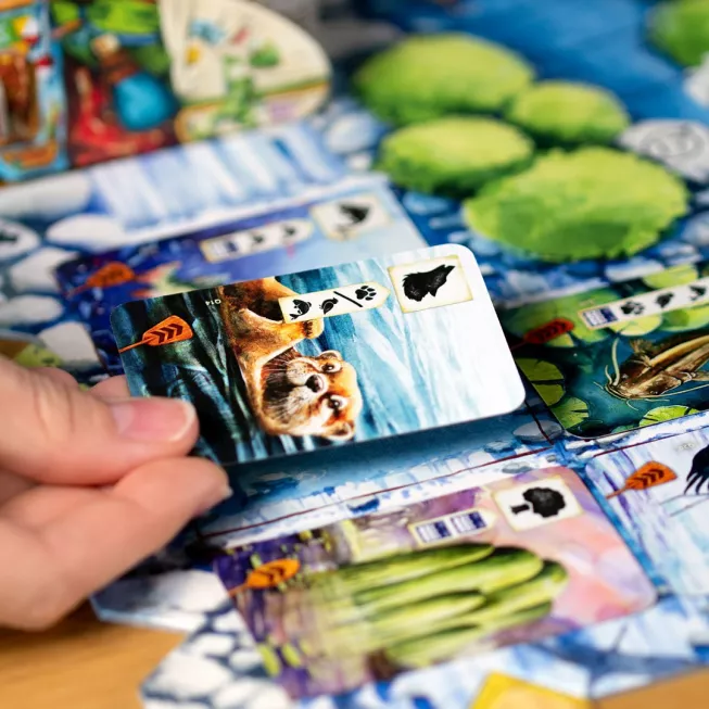 Настільна гра Левада. За течією (Meadow: Downstream)