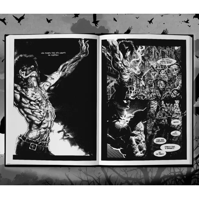 Комікс Ворон. Спеціальне видання