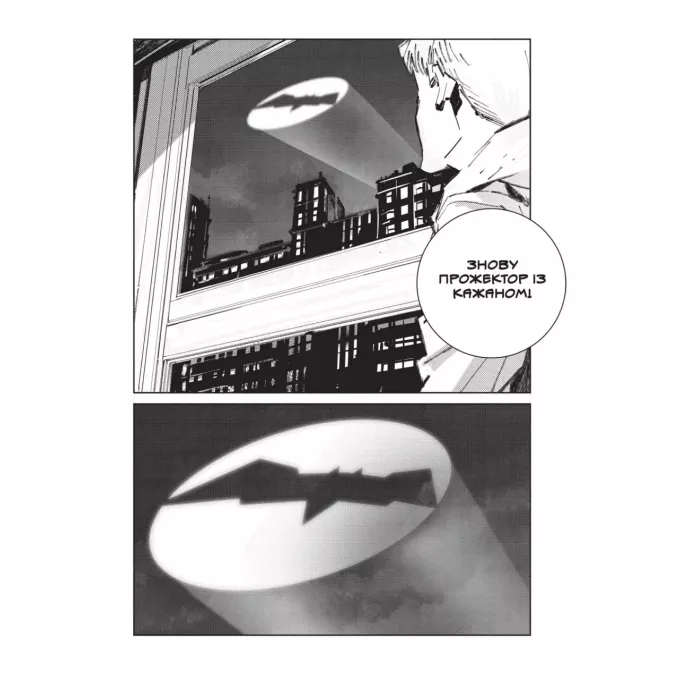 Комікс Бетмен. Руйнівник правосуддя. Том 1