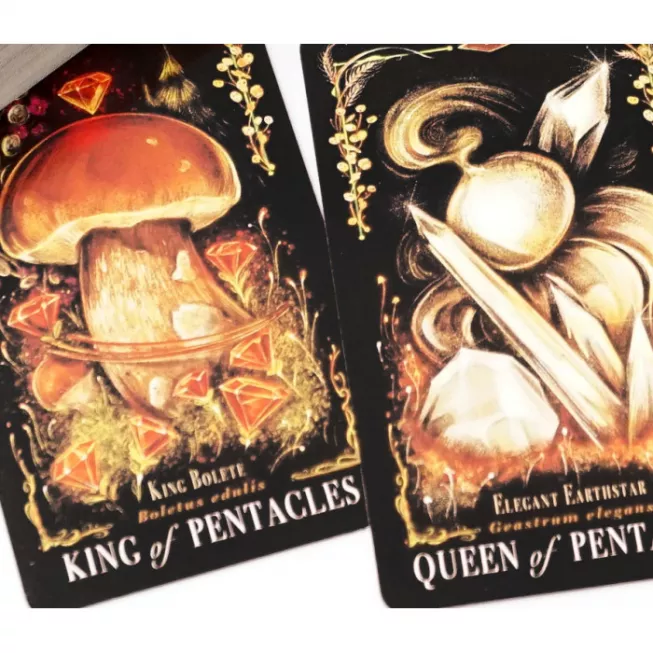 Карти ТАРО Грибів Північна Магія