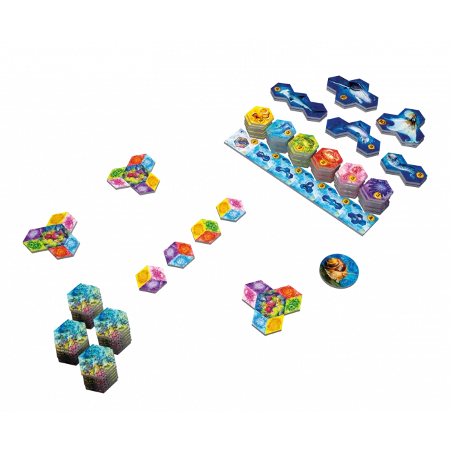 Настільна гра Aqua. Океанське біорізноманіття (AQUA: Biodiversity in the oceans): купити за кращою ціною в Україні