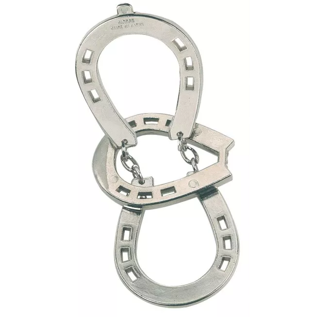 Головоломка Hanayama Huzzle Cast Horse (Підкова): купити за кращою ціною в Україні