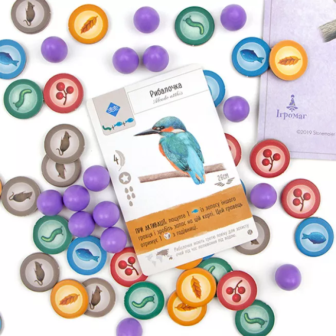 Крила. Птахи Європи (Wingspan European Expansion): купити за кращою ціною в Україні