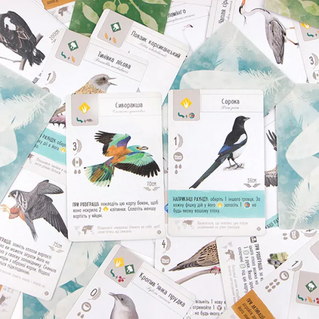 Крила. Птахи Європи (Wingspan European Expansion): купити за кращою ціною в Україні