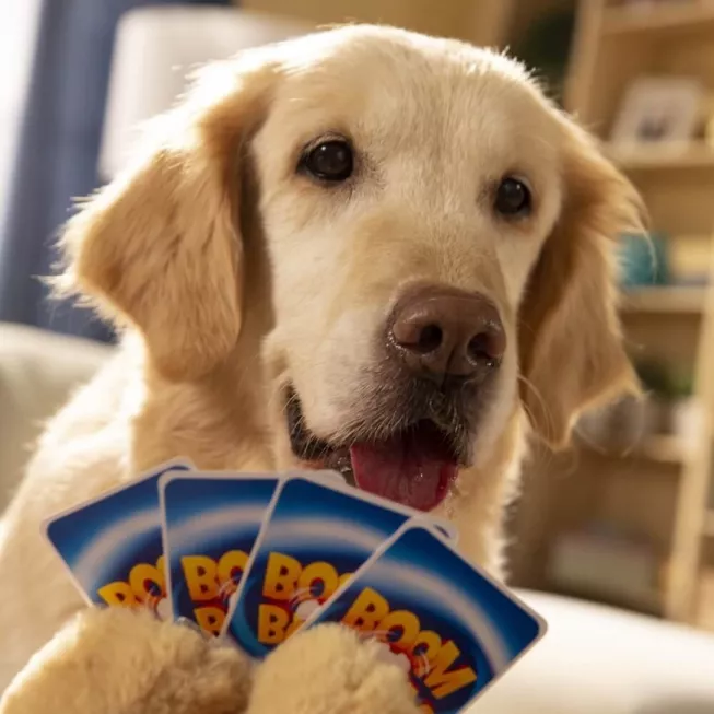 Бум-Бум: Собаки та коти (Boom Boom: Pups & Kittens): купити за кращою ціною в Україні