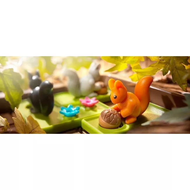 Вперед, за горіхами! (Squirrels Go Nuts!): купити за кращою ціною в Україні