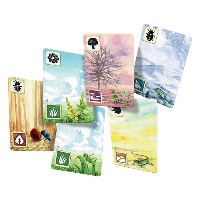 Левада (Meadow): купити за кращою ціною в Україні