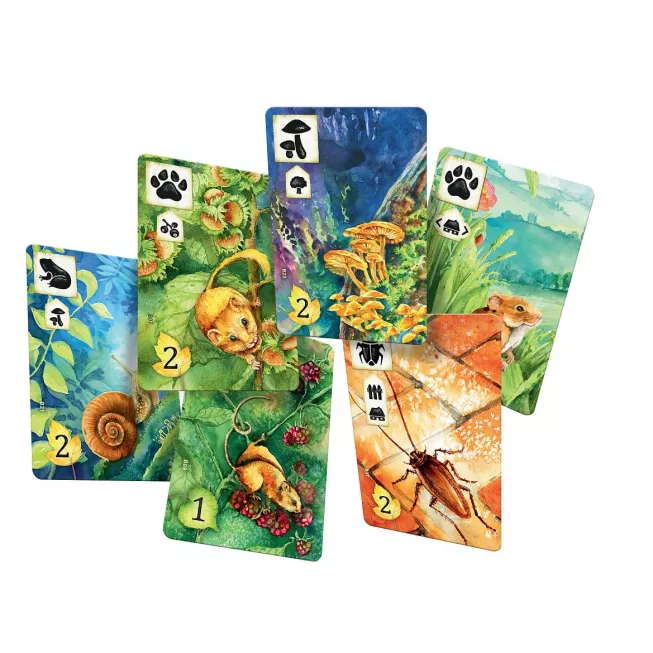 Левада (Meadow): купити за кращою ціною в Україні