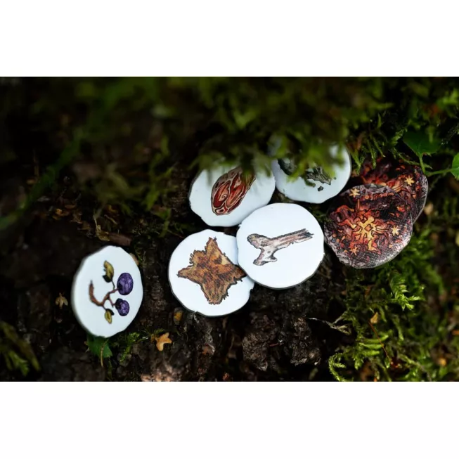 Плем’я (Elawa): купити за кращою ціною в Україні