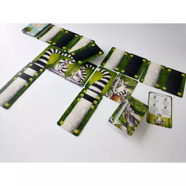 Лемурячі хвости (Lemur Tails): купити за кращою ціною в Україні