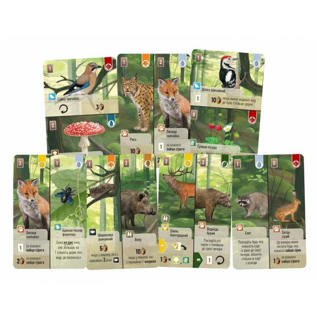 Лісова метушня (Forest Shuffle): купити за кращою ціною в Україні