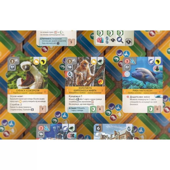 Новий ковчег: Морські Світи (Ark Nova: Marine Worlds): купити за кращою ціною в Україні