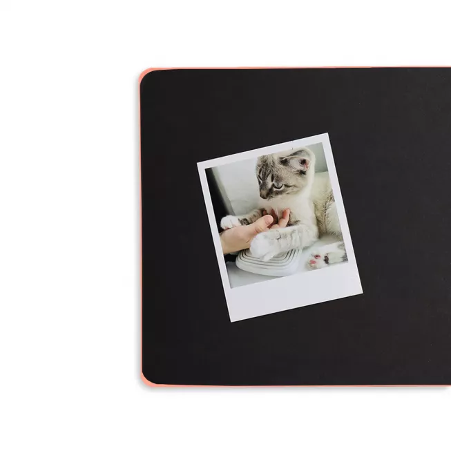 Фотоальбом. Life in pictures: купити за кращою ціною в Україні