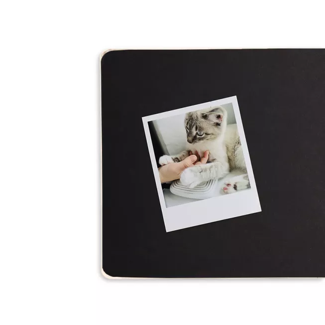 Фотоальбом. Happy days Білий: купити за кращою ціною в Україні