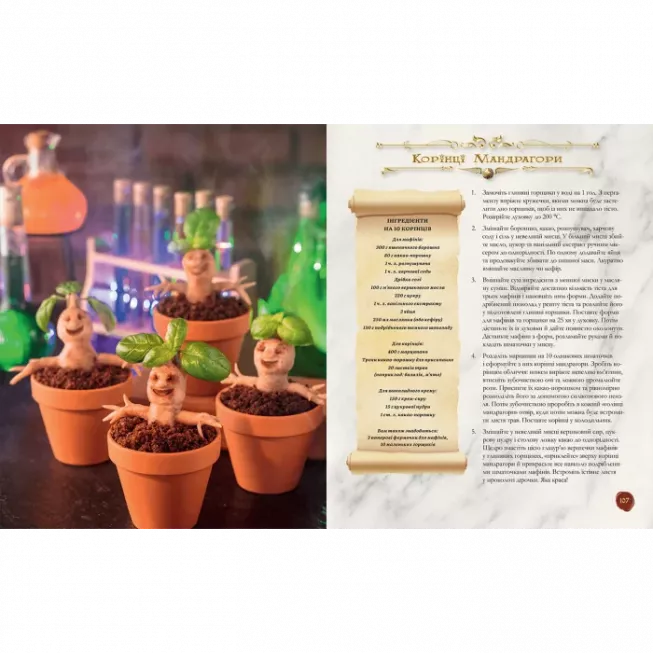 Книга ласощів Гаррі Поттера. Неофіційне ілюстроване видання: купити за кращою ціною в Україні