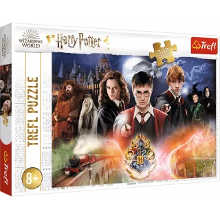 Пазл Секрети Гаррі Поттера (300)