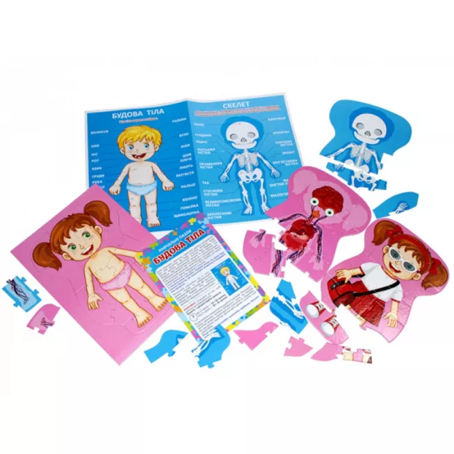 Навчальні пазли. Будова тіла: купити за кращою ціною в Україні