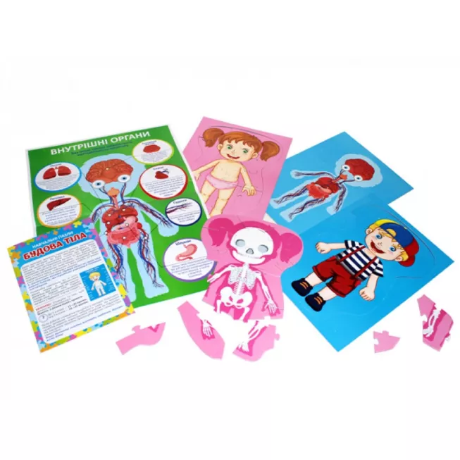 Навчальні пазли. Будова тіла: купити за кращою ціною в Україні