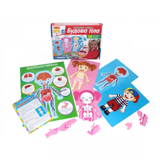 Навчальні пазли. Будова тіла: купити за кращою ціною в Україні